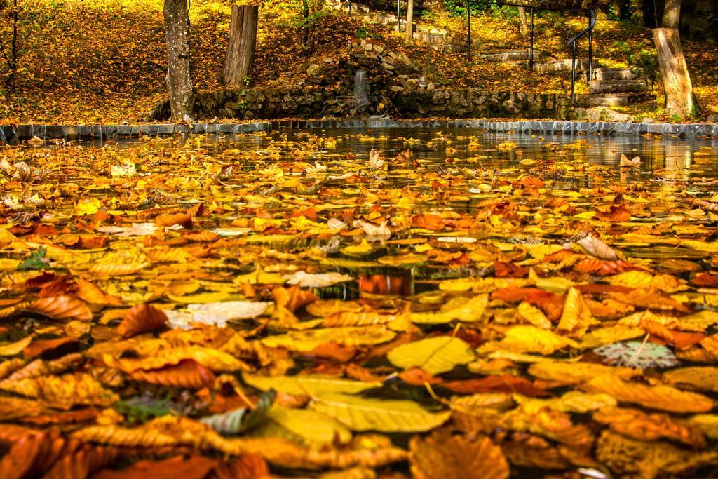 Pensiunea Boema Sinaia Esterno foto