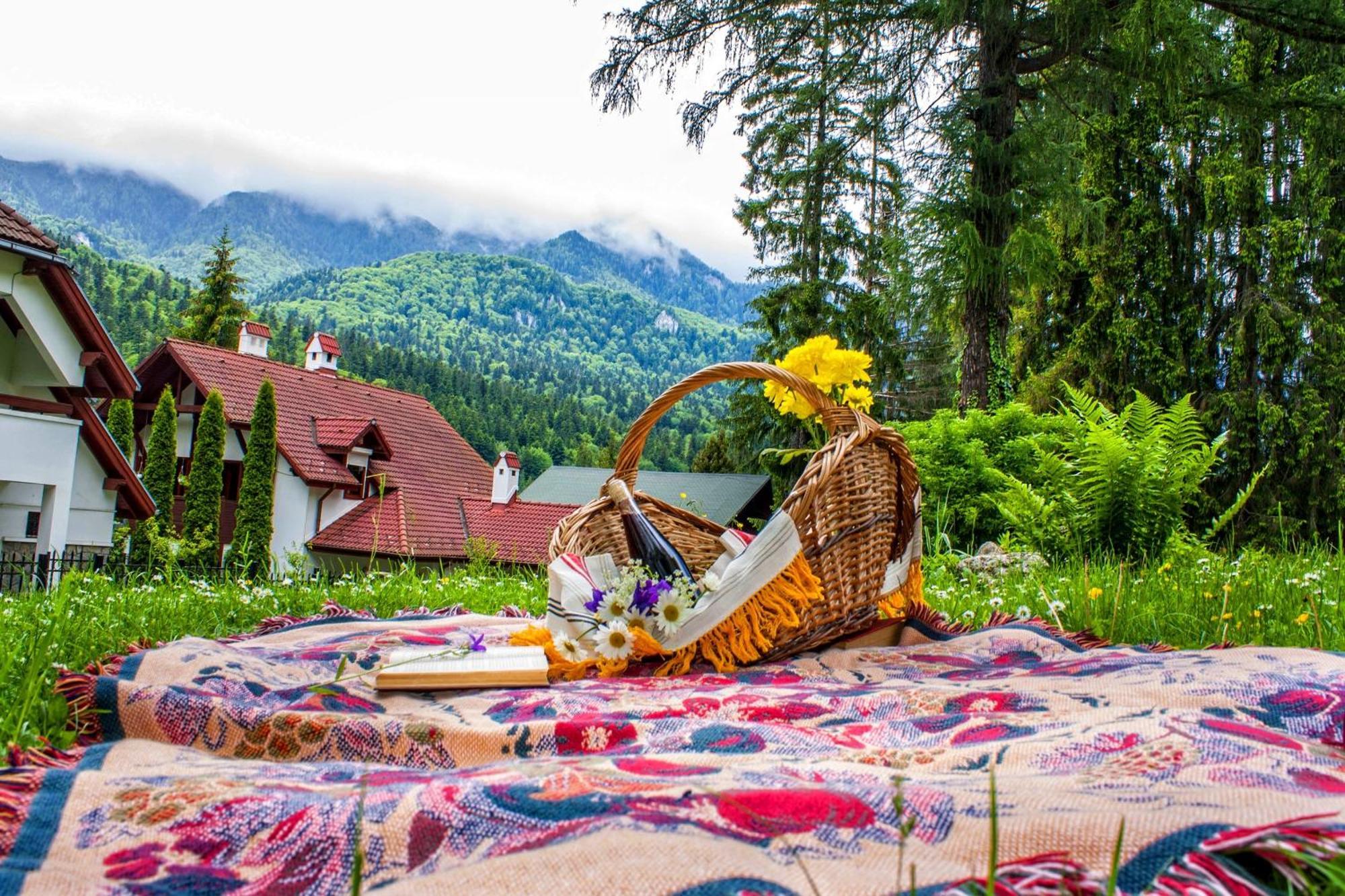 Pensiunea Boema Sinaia Esterno foto