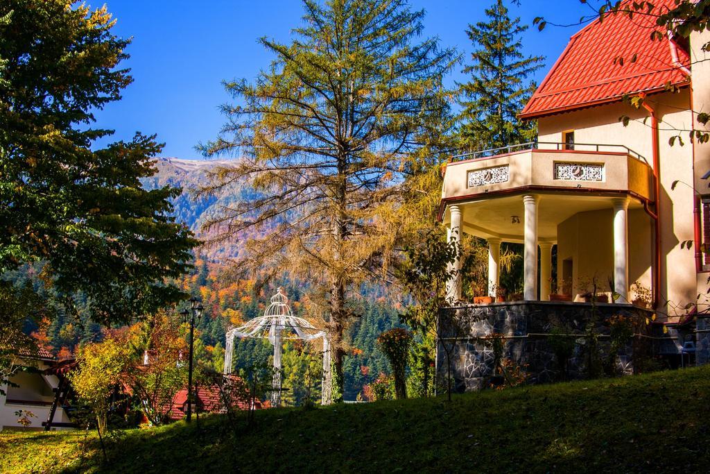 Pensiunea Boema Sinaia Esterno foto