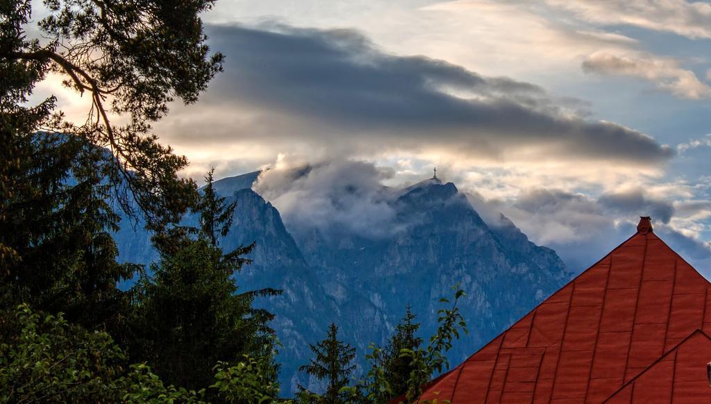 Pensiunea Boema Sinaia Camera foto