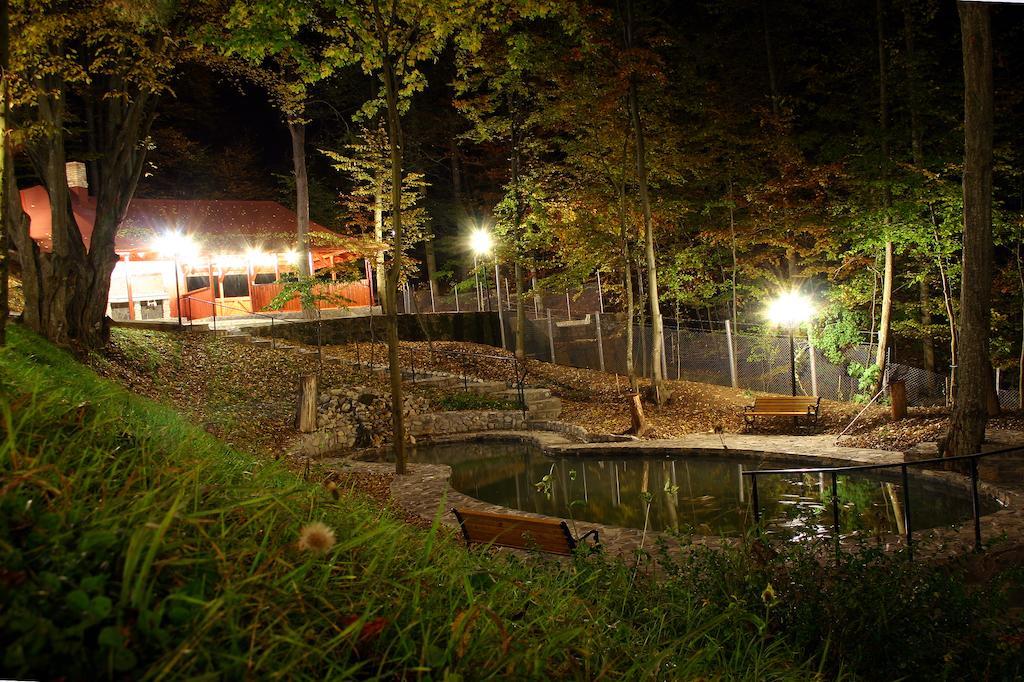 Pensiunea Boema Sinaia Esterno foto